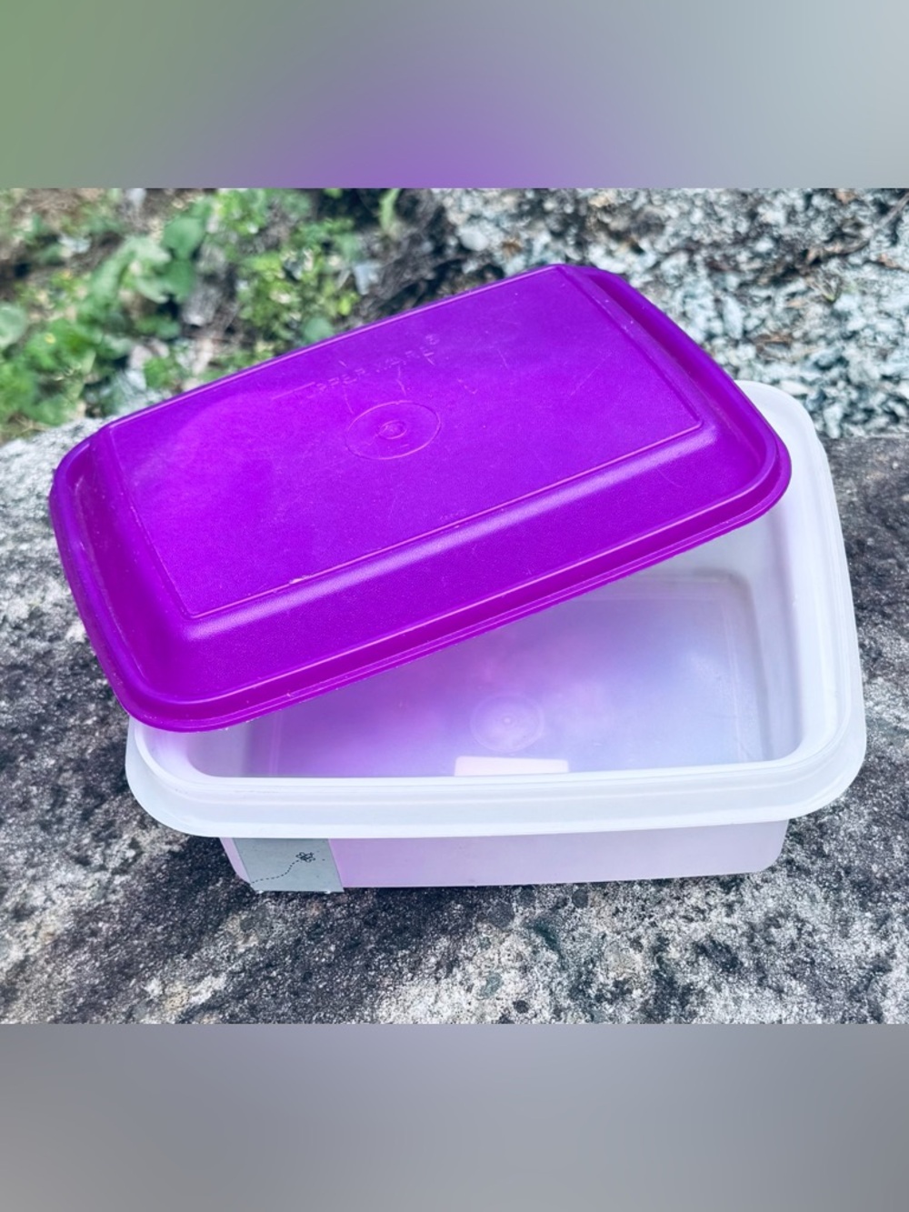 Tupperware Vintage Ice Cream Keeper
